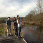 Marvellous moths and perfect pollinators