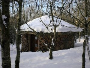 WWYL coppicing Project