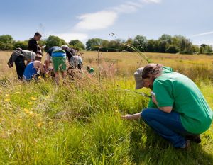 conservation courses