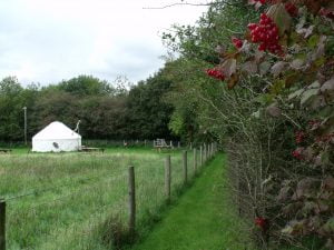 Diverse hedges ad meadows are now abundant at Denmark Farm