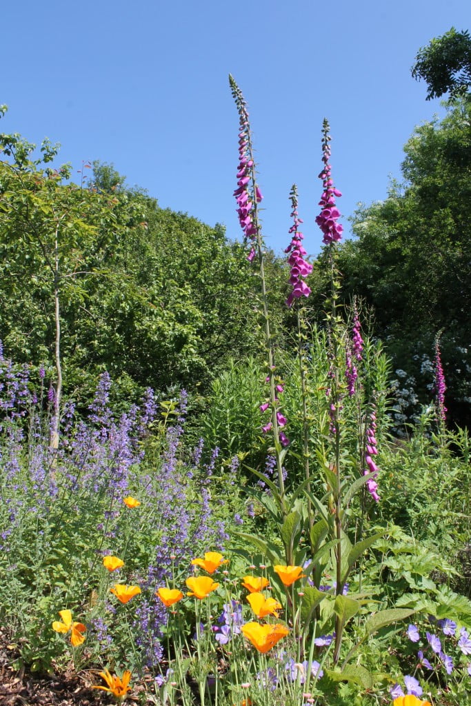 Ornamental Gardening Denmark Farm Conservation Centre