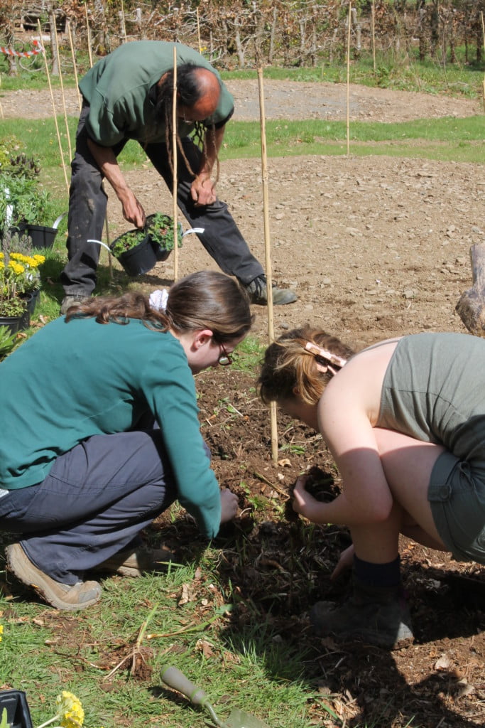 Gwirfoddolwyr Fferm Denmarc