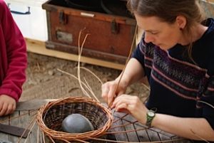 Willow basket weaving