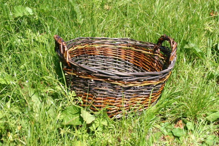 Improver's Basket Making Denmark Farm Conservation Centre