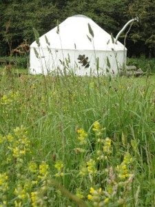 meadows yurt