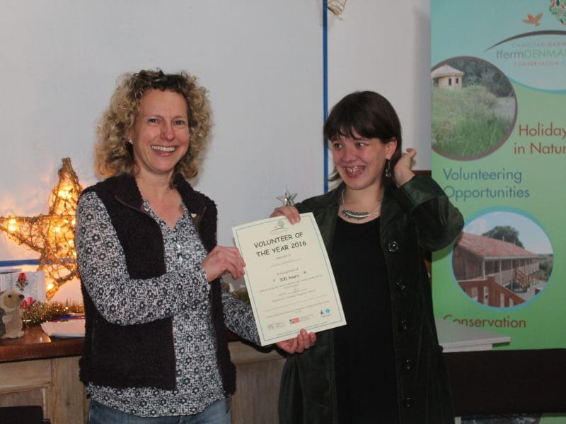 Volunteering Denmark Farm