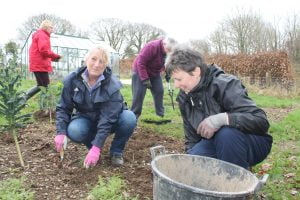 tyfu ar gyfer bywyd gwyllt