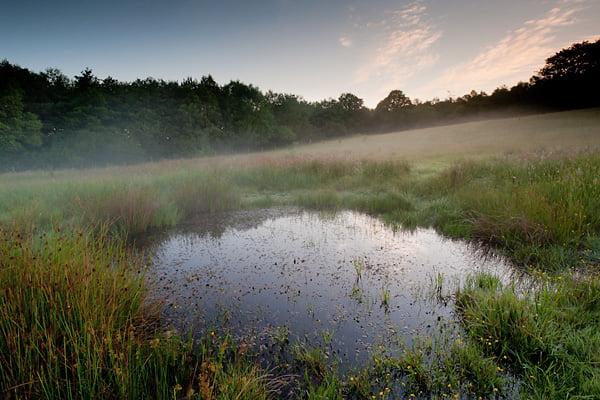 Conservation Guide 4 - Restoring, Creating and Managing Small Ponds