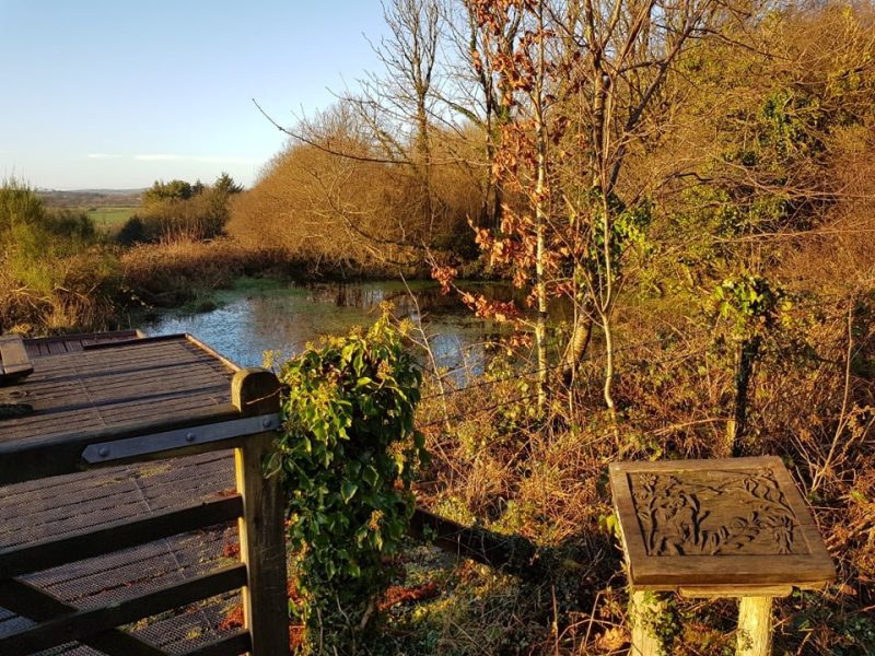 Visit the lake and ponds at Denmark Farm