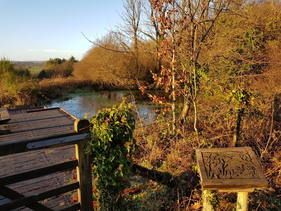 Visit the lake and ponds at Denmark Farm