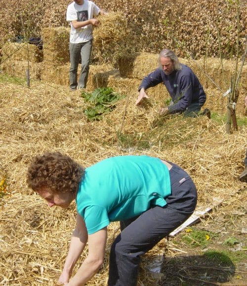 Aline Denton Tribute