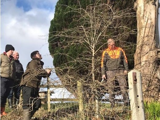 Basic Tree Survey & Inspection Course