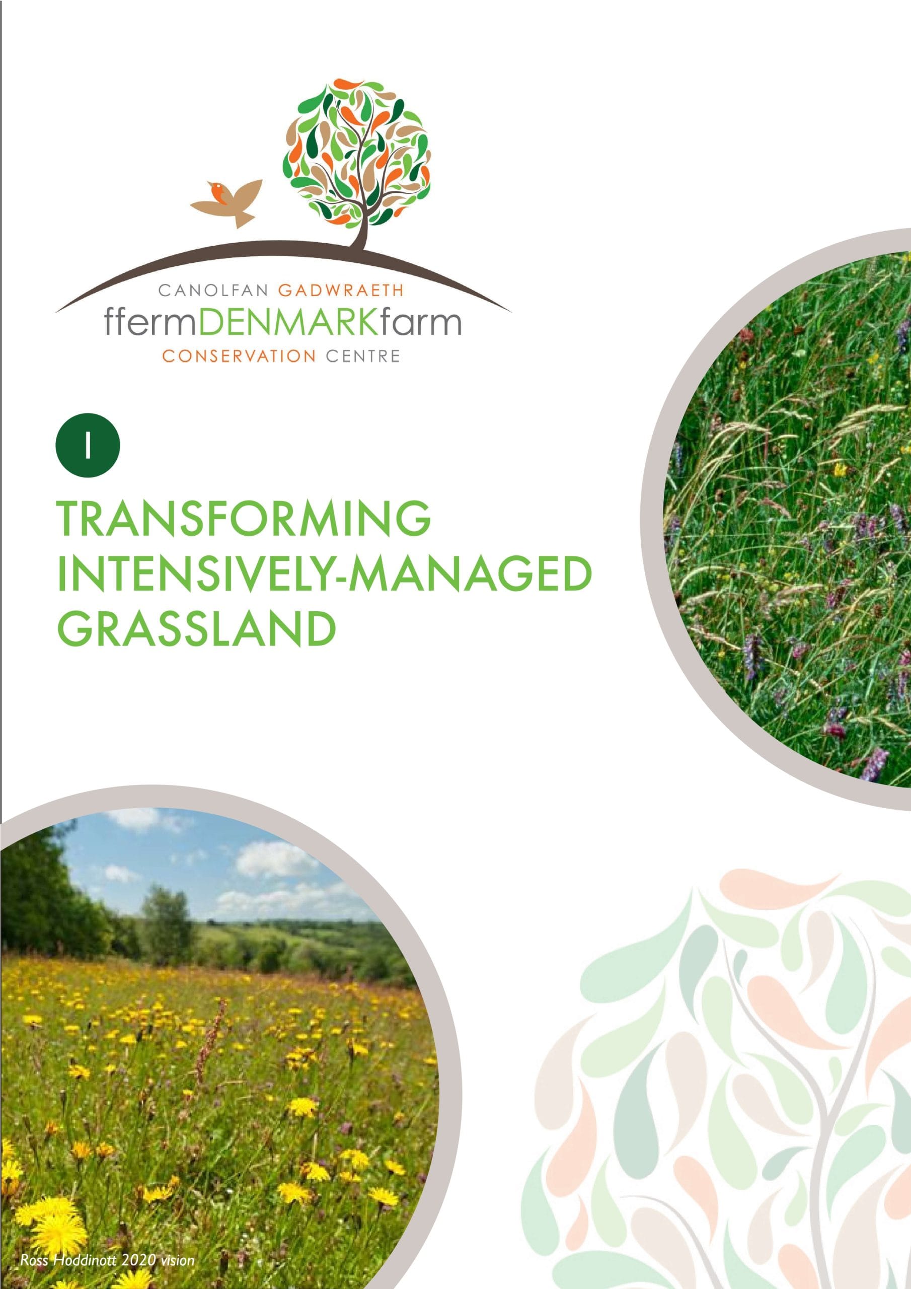 Canllaw Cadwraeth 1 glaswelltiroedd