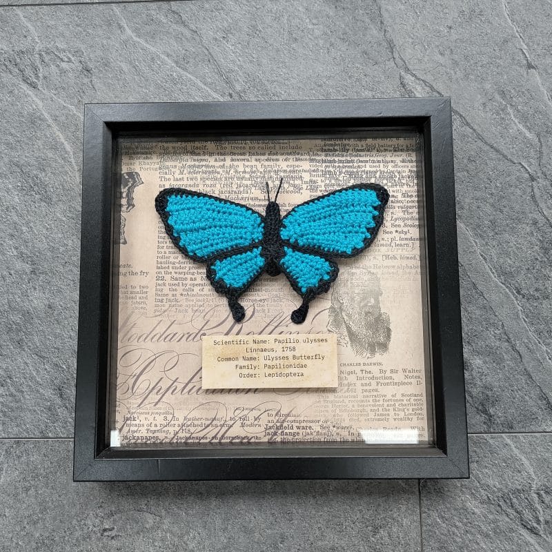 Introduction to Crochet: Crafting Nature