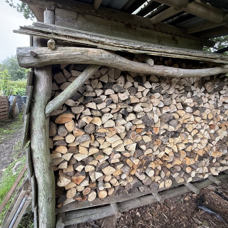 Get Winter Ready: Firewood Processing for Beginners